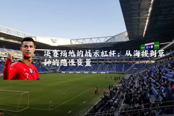 决赛场地的战术杠杆:从海拔到草种的隐性变量