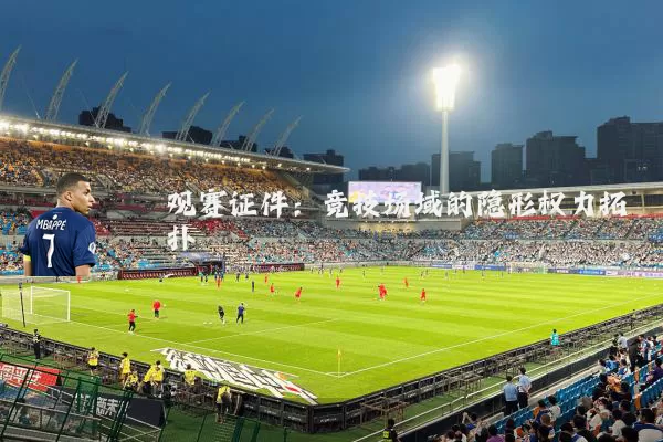 观赛证件:竞技场域的隐形权力拓扑