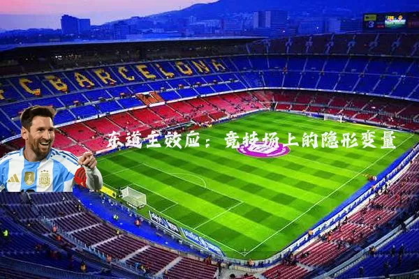 东道主效应:竞技场上的隐形变量
